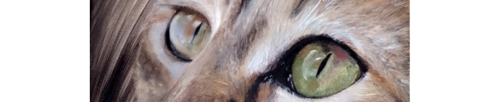 Banner profilu