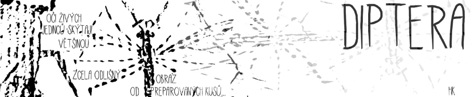 Banner profilu