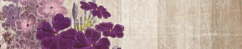 Banner profilu