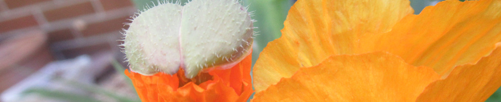Banner profilu
