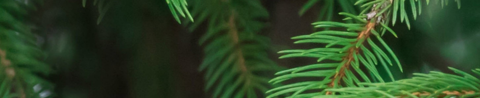 Banner profilu