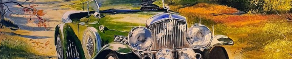 Banner profilu