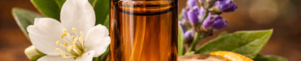 Banner profilu