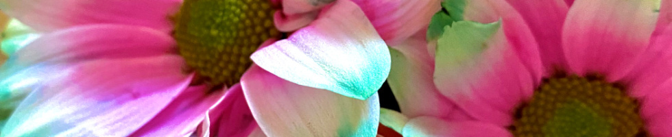 Banner profilu