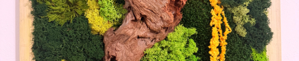 Banner profilu