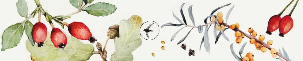 Banner profilu