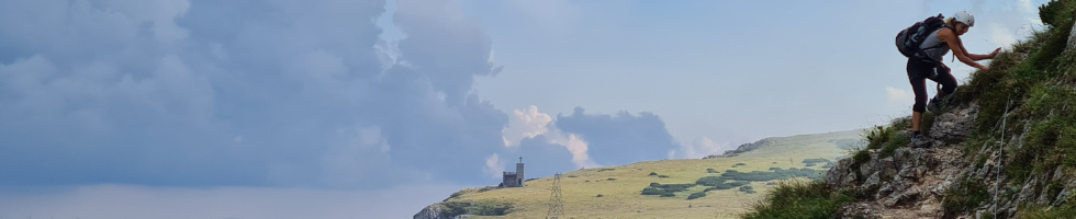Banner profilu
