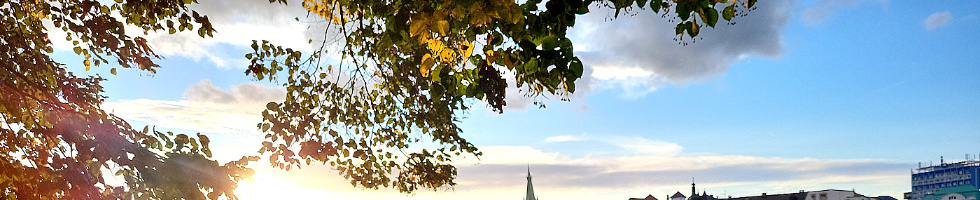 Banner profilu