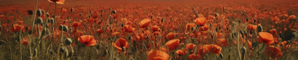 Banner profilu