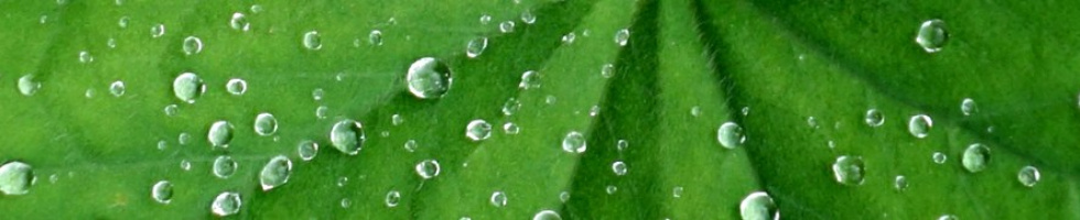 Banner profilu