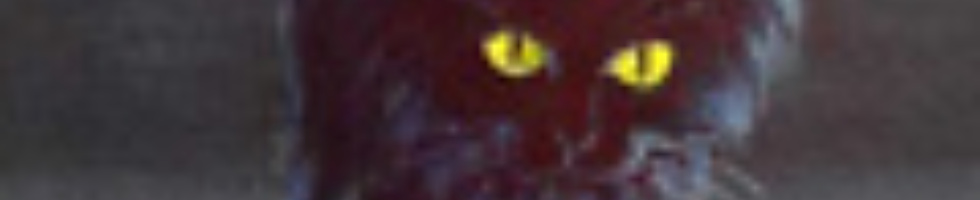 Banner profilu