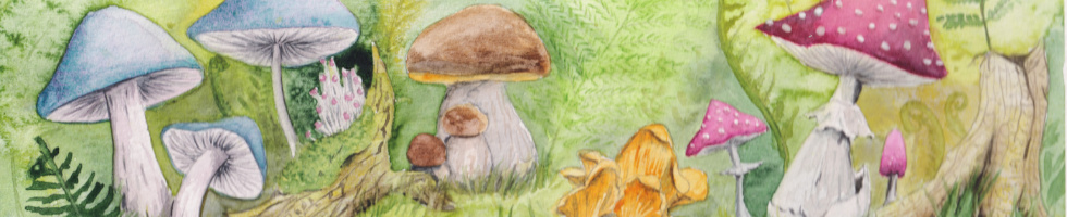 Banner profilu