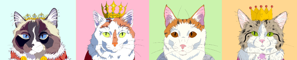 Banner profilu