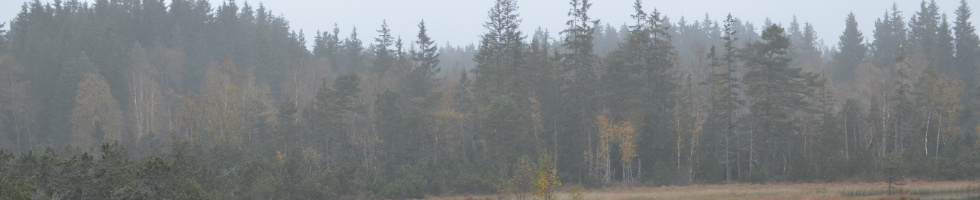 Banner profilu