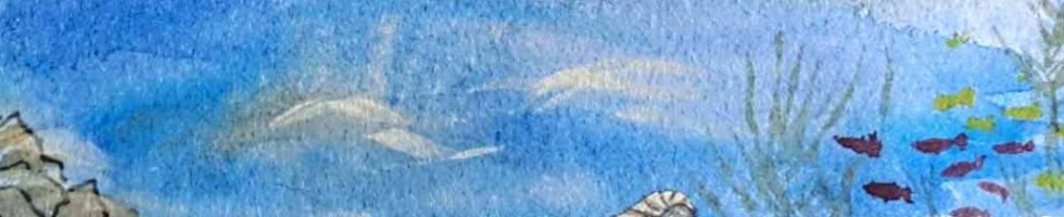 Banner profilu
