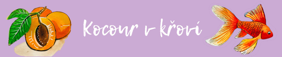 Banner profilu