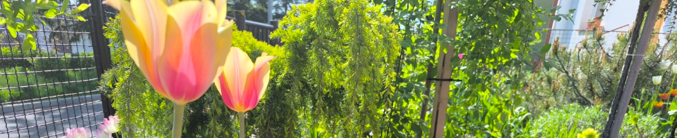 Banner profilu