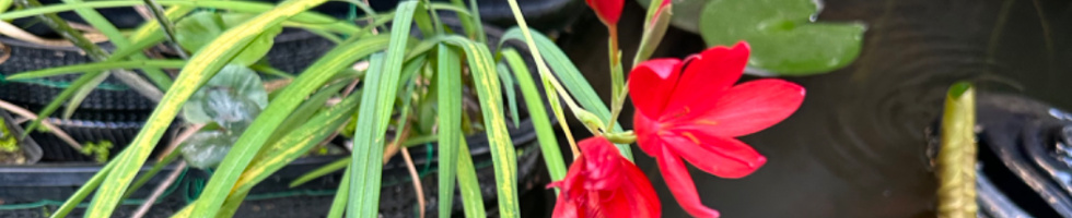 Banner profilu