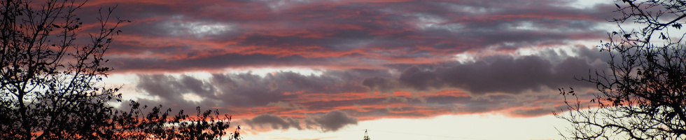 Banner profilu