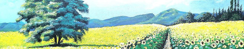 Banner profilu