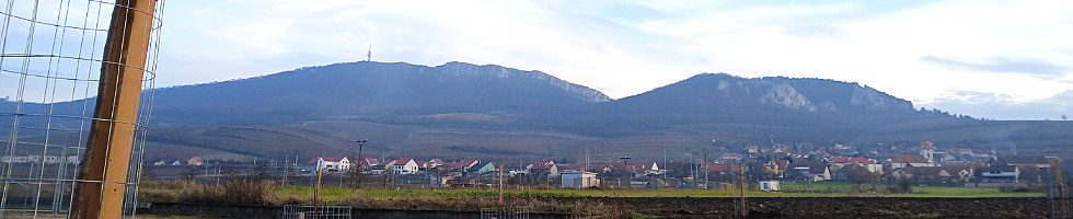 Banner profilu