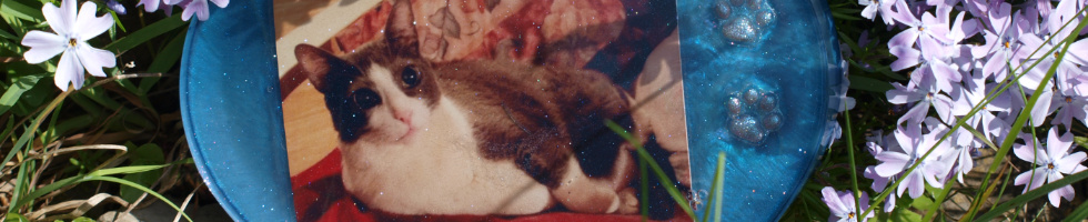 Banner profilu