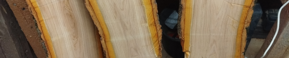 Banner profilu
