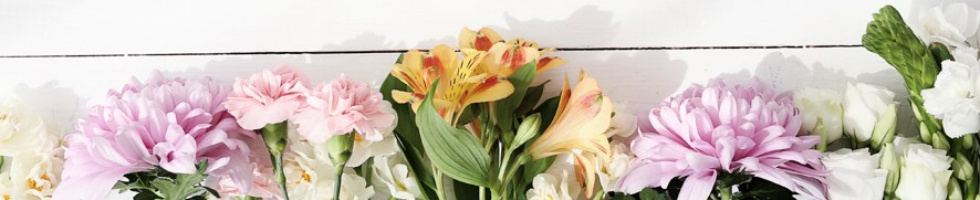 Banner profilu