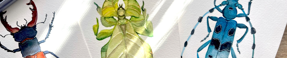 Banner profilu