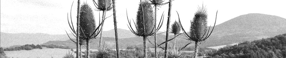 Banner profilu