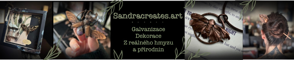 Banner profilu
