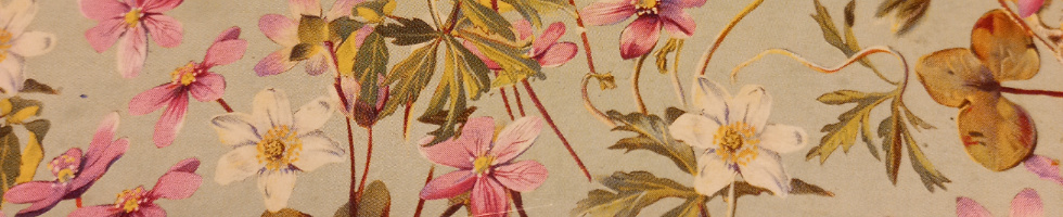 Banner profilu