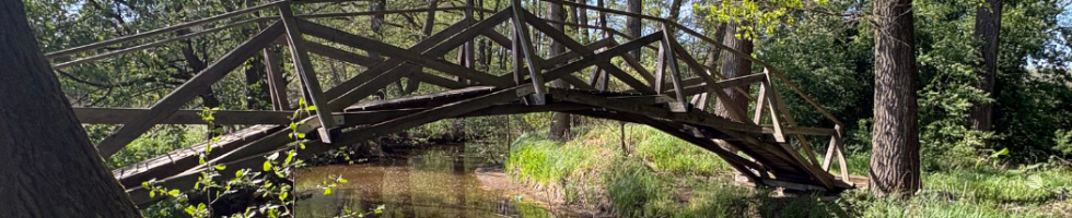 Banner profilu