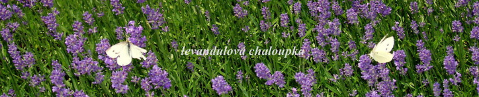Banner profilu