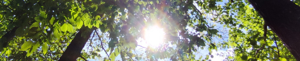 Banner profilu