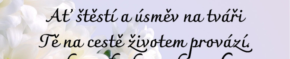 Banner profilu