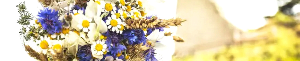 Banner profilu