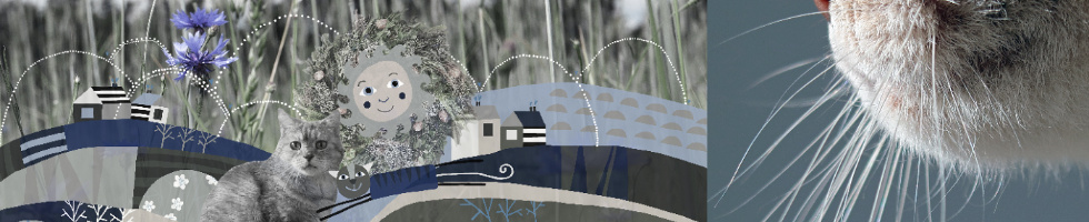 Banner profilu
