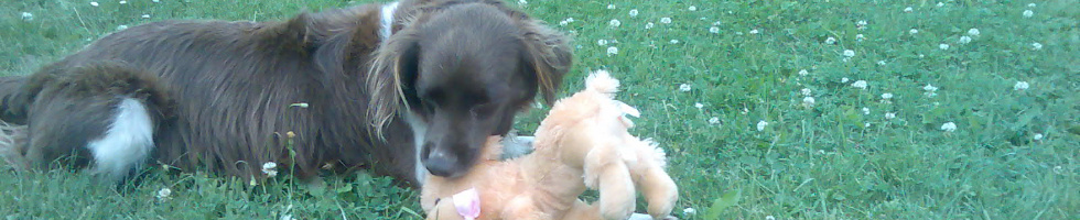 Banner profilu