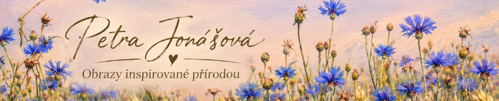 Banner profilu