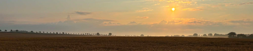 Banner profilu