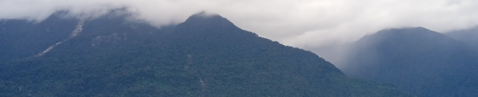Banner profilu