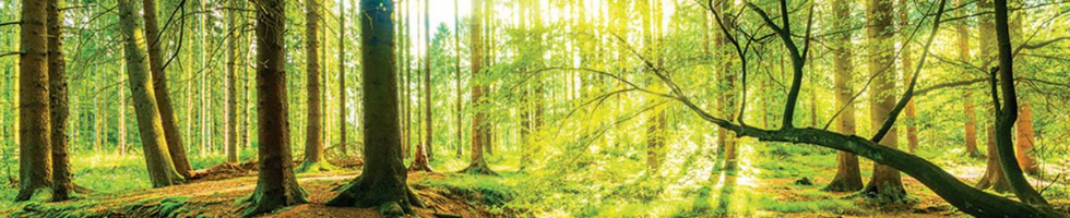 Banner profilu