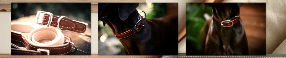 Banner profilu