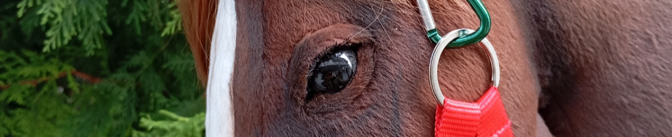 Banner profilu