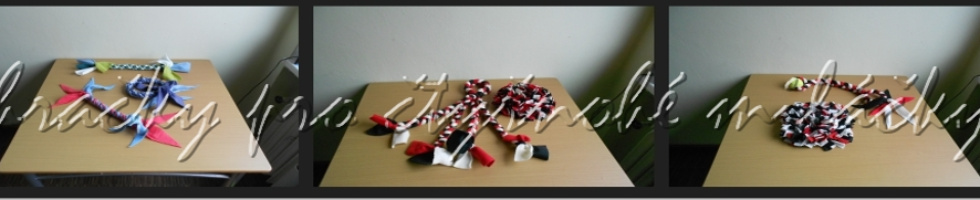 Banner profilu