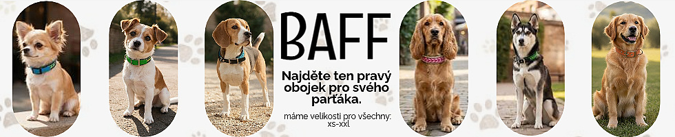 Banner profilu