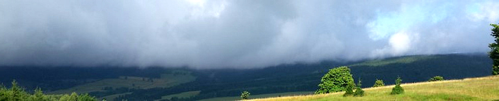 Banner profilu