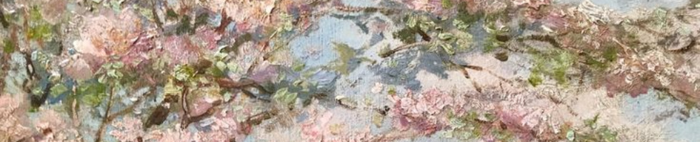 Banner profilu