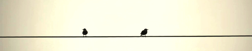 Banner profilu